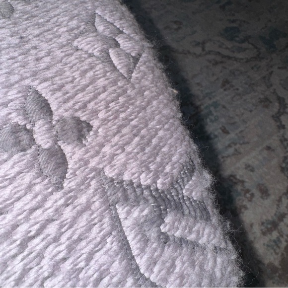 Louis Vuitton Gray Monogram Scarf - Picture 7 of 15